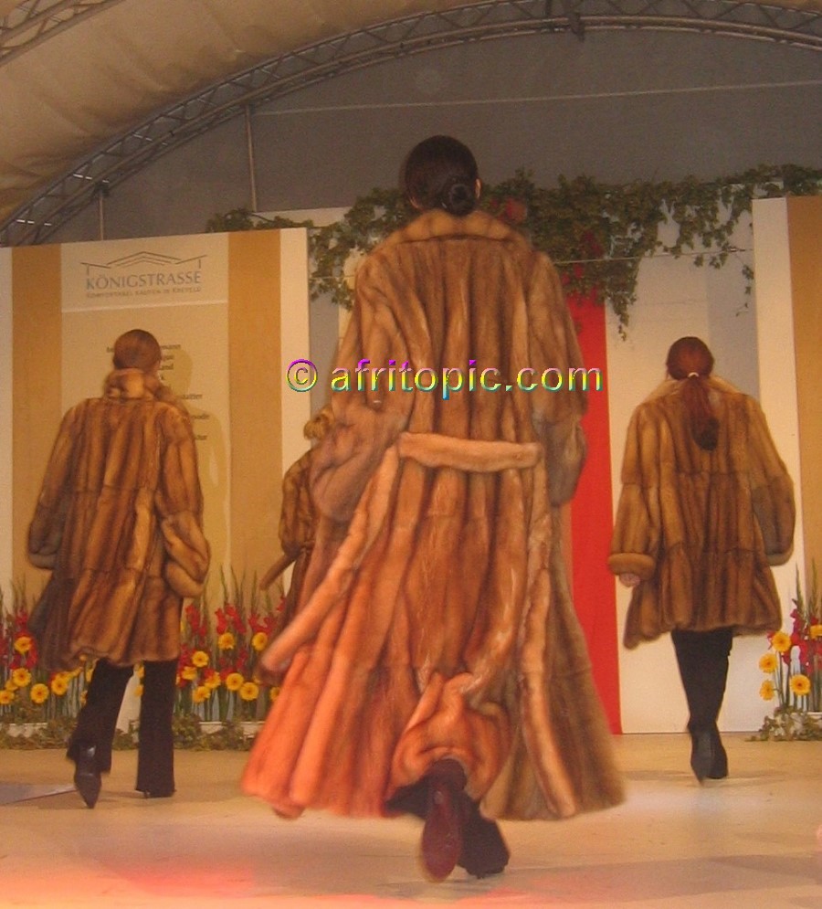 ../Images/krefash2 341.jpg